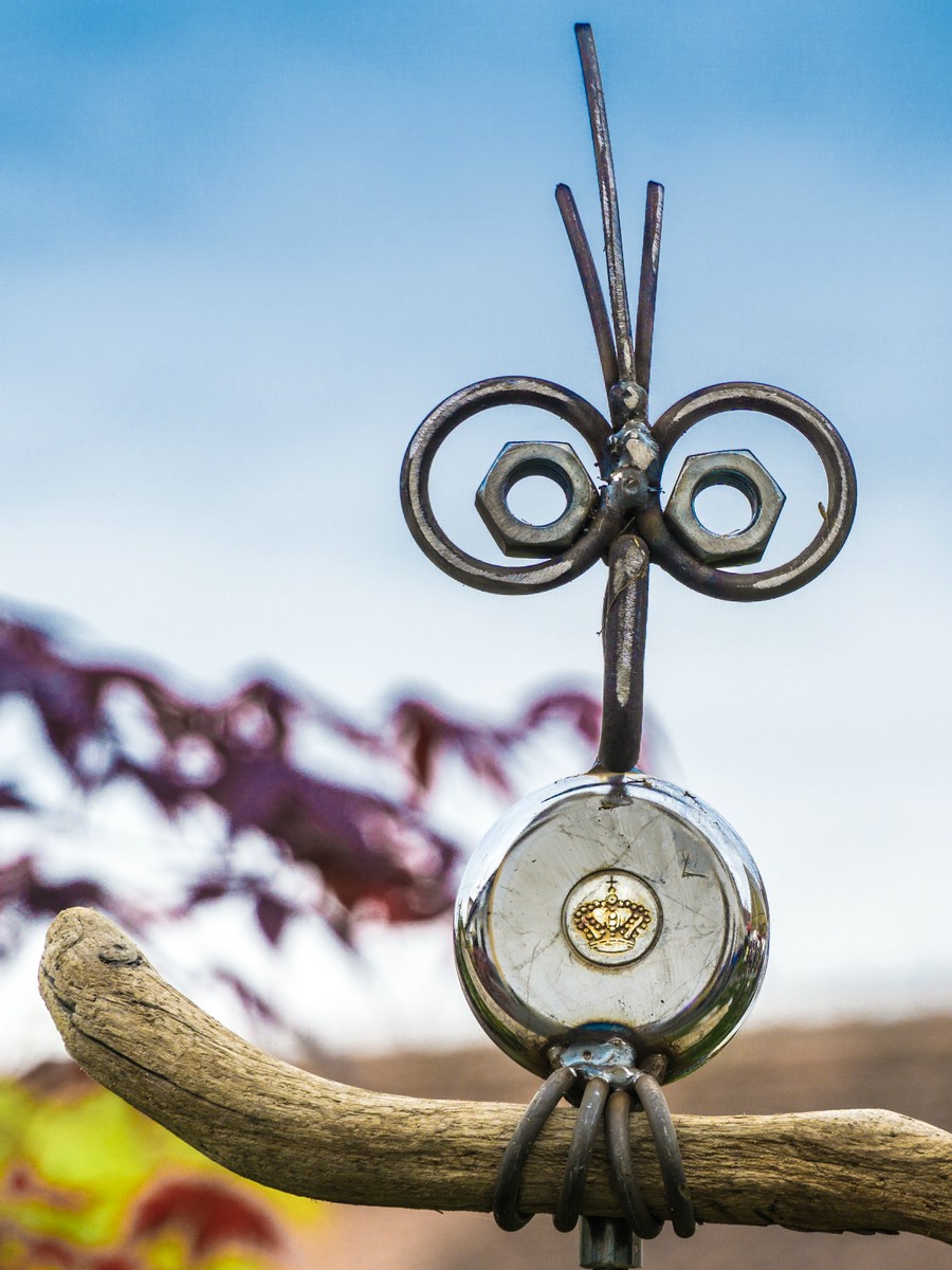 O Fotomagazin / Gartentage im Stift Reichesberg 2017